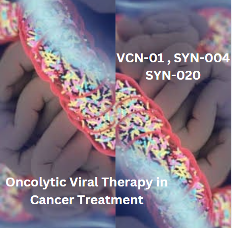 VCN-01 , SYN-004, SYN-020: Hope for oncolytic viral therapy in cancer treatment VCN-01 , SYN-004, SYN-020: Hope for oncolytic viral therapy in cancer treatment