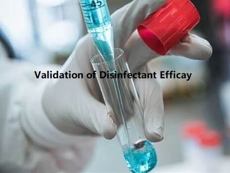 VALIDATION OF DISINFECTANT EFFICACY VALIDATION OF DISINFECTANT EFFICACY